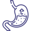 gastric