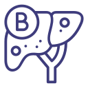hepatitis-b